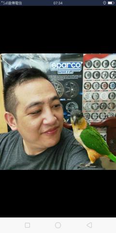 提供173司機服務的專家司機而已