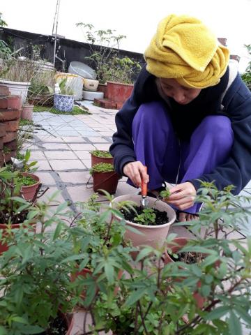 木子 光鄰瑜伽工作室 - 與植物相處也是一種靜心