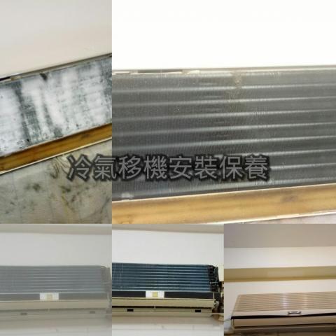 麗頡整合工程 - 