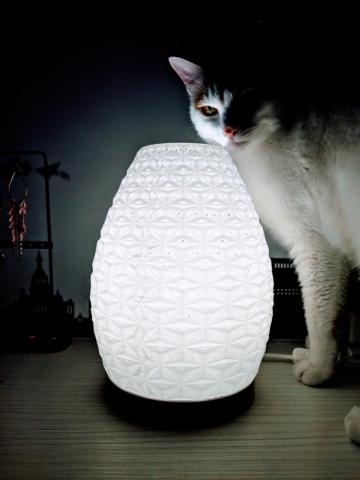 yenuo - 3D printed parametric deaign