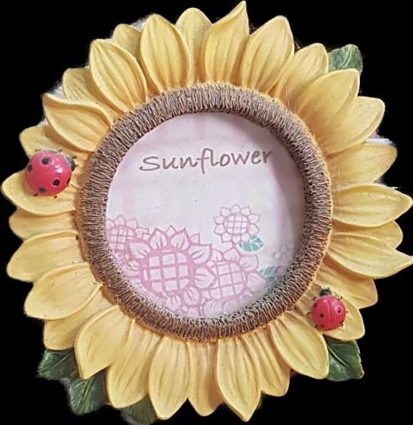 🌻向日葵🌻好幫手👍👍👍