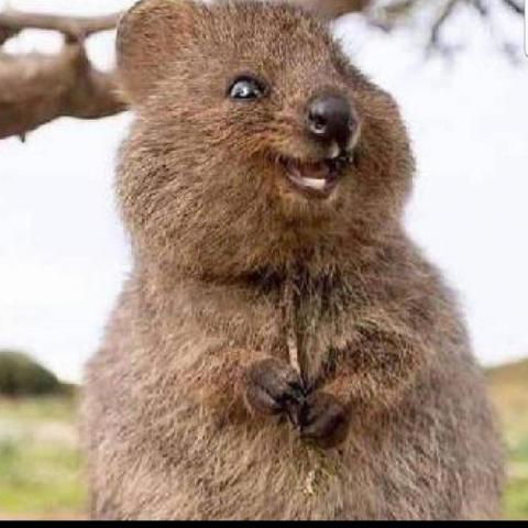 提供unity教程服務的專家沒有人