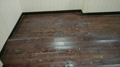 力勾有限公司 - 地板維修前