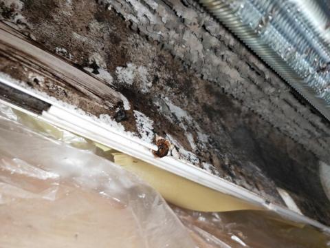 小天冷氣/洗衣機 清潔保養 - 拆解詳細清潔2