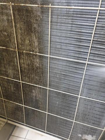 涼源 - 未清洗＜一  一＞已清洗