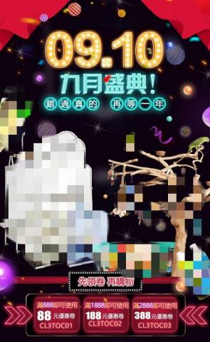 Kona - 平面 海報