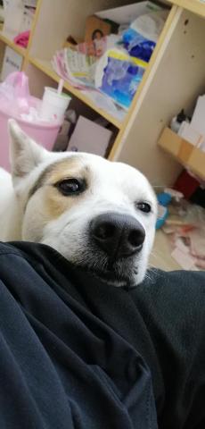 提供一日代班服務的專家個人