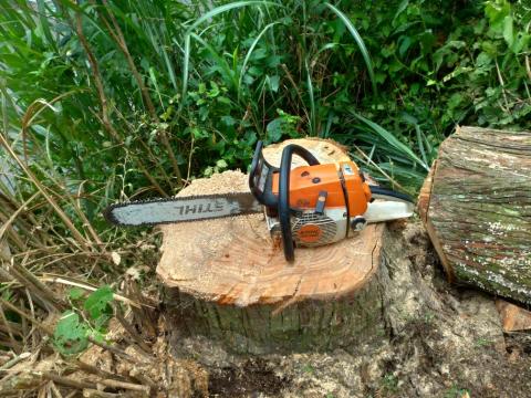 提供割草服務的專家五方園藝