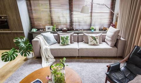 梧桐樹種子工坊 - 