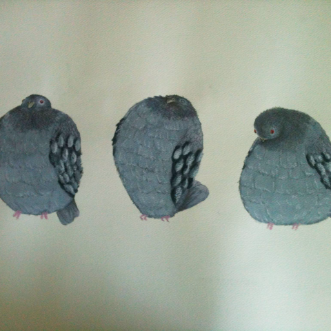 洪昱喬／mail：ziejoannered9500@gmail.com - 水彩手繪