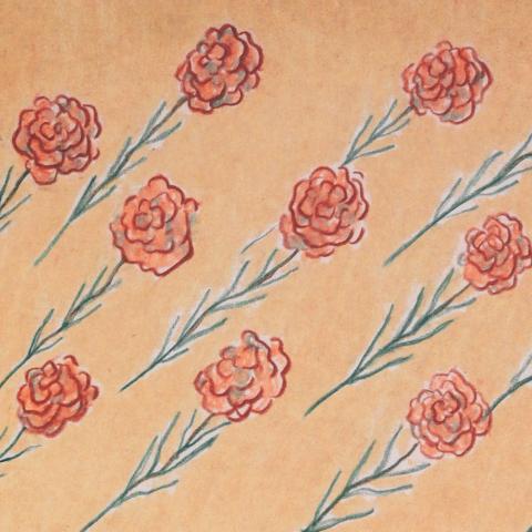 廖婕安 - 母親節卡片，康乃馨。