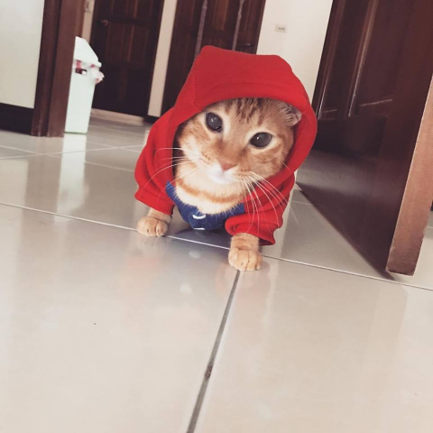 提供按讚抽獎服務的專家Lex 個人工作室