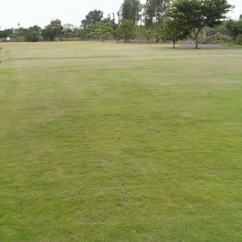 劉園 園景工作室 - 園藝植物的維護工作