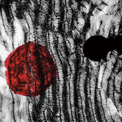 WANGYU studio - 森林樂團 封面封底設計