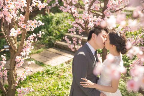 星塵婚禮攝影 - 