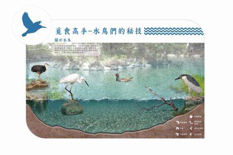 Nathanizelin - 資訊設計 | 解說牌 | 插畫