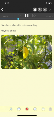 誠果資訊科技 - QNotePro - voice recording, images taking, note taker App - Review mode