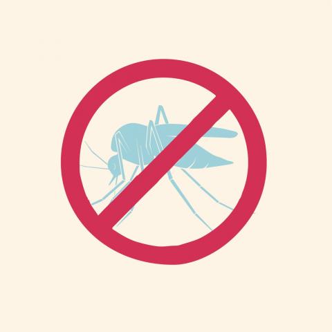 宅潔便-EZcleaning - 除蟲服務：
白蟻、蟑螂、螞蟻、跳蚤、蚊蠅等，害蟲捕捉、驅除撲殺。