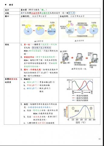 熊大 - 生物第三章酵素講義