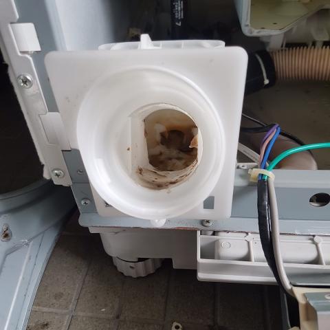 好師傅居家服務 - 滾筒式洗衣機清潔服務 好師傅居家服務 - 滾筒式洗衣機清潔服務