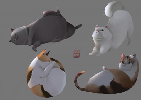 吳銘恩 - 日常&mdash;貓2