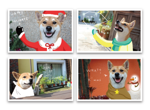 Suzanne - 財犬聖誕卡拍攝與設計