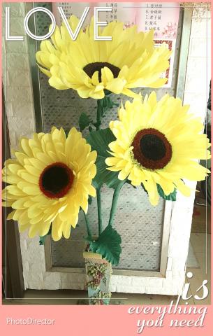 吉菲派町 - 居家裝置藝術~巨型花卉~