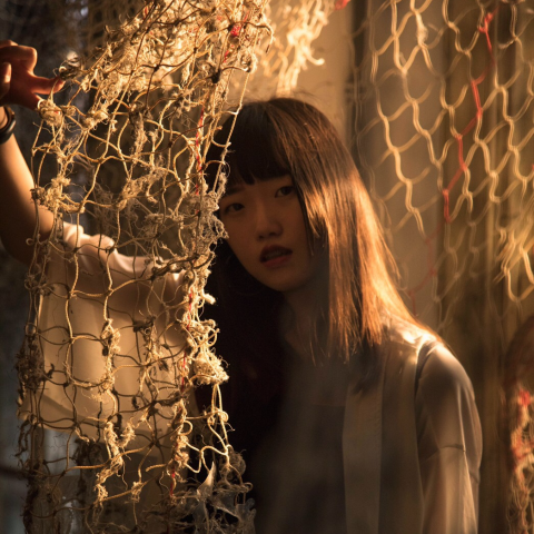 提供170服務的專家王尚玫