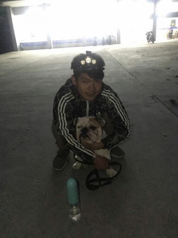 寵物行為訓練師-Bruce - 