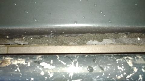 上善清潔 - 一森原社區(C1-16F) 上善清潔 - 一森原社區(C1-16F)