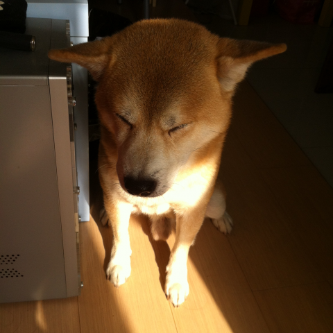 提供加班勞基法服務的專家張佳倩