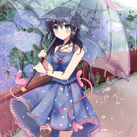 提供動漫r18服務的專家魚鱗