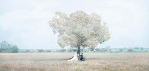 幸福小鎮-婚禮紀錄 - 