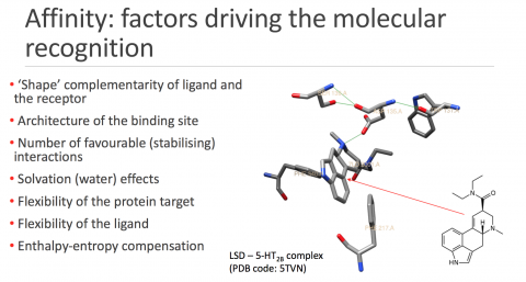 Louisa 程紓 - 大學上課內容其中之一