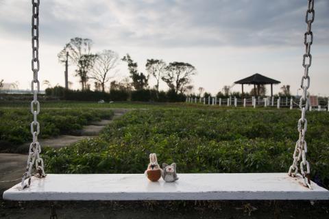 荒島有鹿影像工作室 - 羊毛氈情境照-8