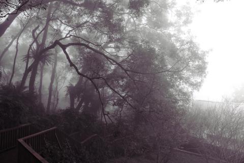 黃天培 - 影像處理