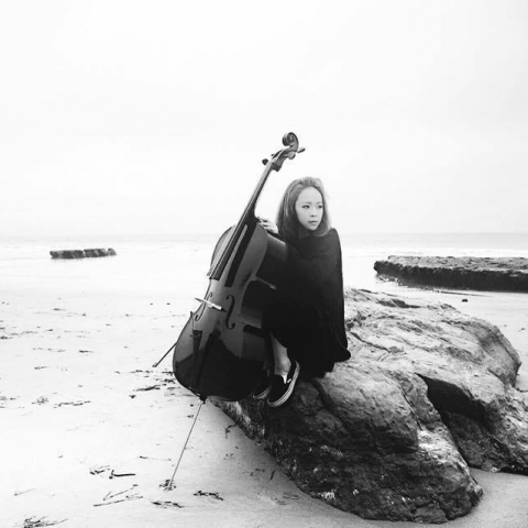 livmus - 大提琴教學、大提琴表演。