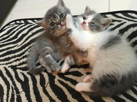 文文 - 老大跟老三的住宿體驗 ❤️玩瘋啦