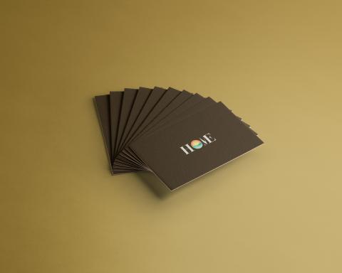 Raven Chang - Social house Logo design 