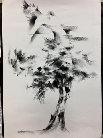 Lai - 炭筆素描創作