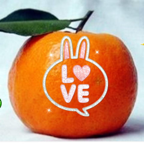 提供編輯設計服務的專家Andrea胡江