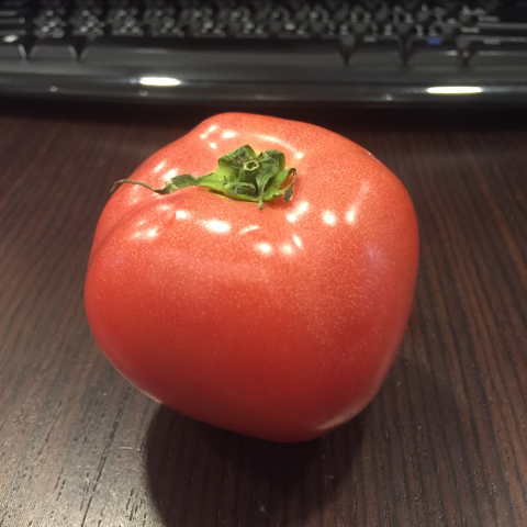 Tomato