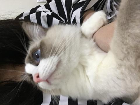 文文 - 寶貝你最溫柔啦 好想你趕快來住❤️