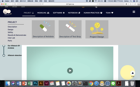 網站架設獨立接案 - igem-wiki 頁面截圖