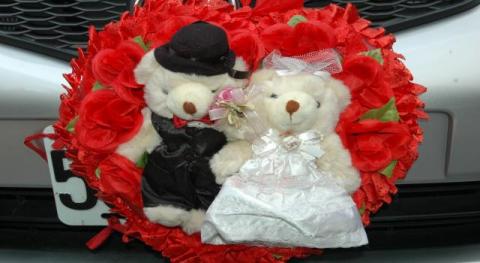 吳高樹 - 泰迪熊