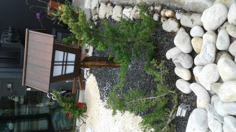 逸築室內裝修設計 - 木屋造型燈