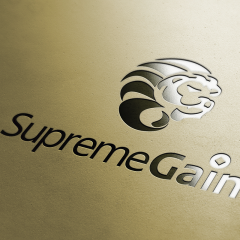 夏也設計工作室 - LOGO作品/ 尊盈投資顧問公司 