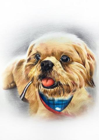 表色相工作室 - 寵物肖像彩繪