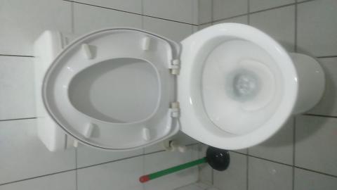 劉小姐 - 浴室馬桶清潔