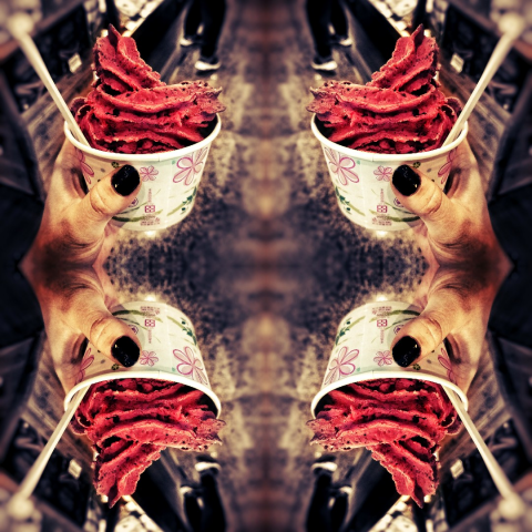 提供美術課服務的專家曾彥郡